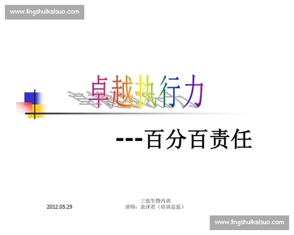 以执行力为核心推动工作高效落实实现目标卓越管理模式探索