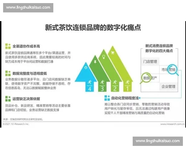 数字化转型驱动下体育产业市场消费升级与区域协同发展路径研究