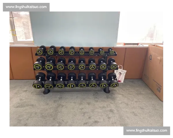 打造全方位运动体验的高品质体育器材与健康生活指南